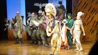 Robin van den Akker als Mufasa - The Lion King 2016