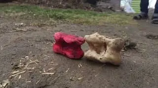 Чуко Эрнис Эмил 2018  март