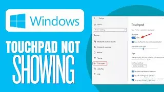How To Fix Touchpad not showing up in Device Manager
