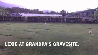 LEXIE AT GRANDPA HOOKANO GRAVESITE