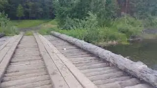 12 июля 2022 г.