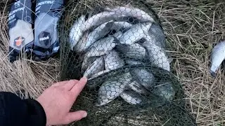 Ловля КАРАСЯ в декабре на поплавок! ДНЕСТР!