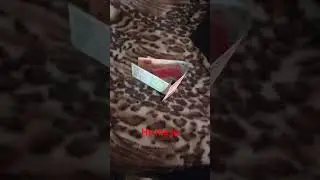 a e shifni sa lek kam une me