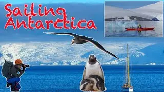 Adventure: sailing on the Antarctic Peninsula, spectacular Wildlife and Landscape