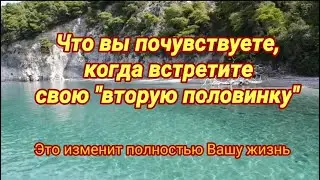 Что вы почувствуете, когда  встретите 