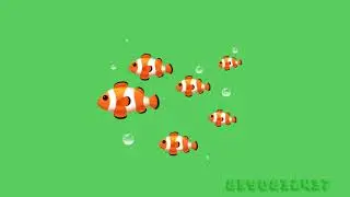Moving Fish Green Screen Video | Download link in discription