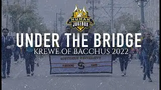 Southern University Human Jukebox | Under The Bridge | Krewe of Bacchus 2022