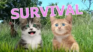 Survival - Rathergood Chat episode 12