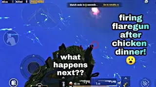 What happens when we fire flare gun after winning match | after chicken dinner