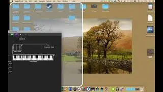 Logic pro X. Как отключить динамику VELOCITY нот, миди плагином и через Environment.