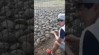 Обезьянка  щелкает  семечки часть 2