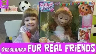❤ Интерактивная игрушка - Обезьянка Fur Real Friends. Cuddles my Giggly Monkey.