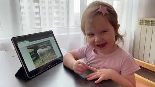 Развитие речи Звуки и стуки