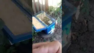 ЗЛОДІЙСТВО НА  ПАСІЦІ,ТА  ЯК  З  НИМ  БОРОТИСЯ.