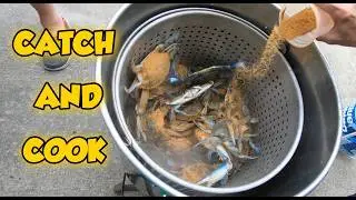 CHESAPEAKE BAY (CATCH & COOK)