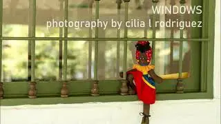 WINDOWS