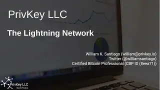 The Lightning Network