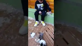 22 декабря 2019 г.