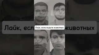 Помним, Любим, Скорбим. Крокус холл