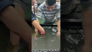 Straw hat camouflage water transfer printing