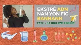 🧬Pati 1: Ekstrè ADN Nan Fig Bannann - Sa Nou Dwe Konnen - #DNA Extraction (with #English subtitles)