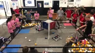 Ri3D Build Bash Live
