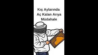 Kış Ortasında Aç Kalan Arıya Müdahale Ediyoruz