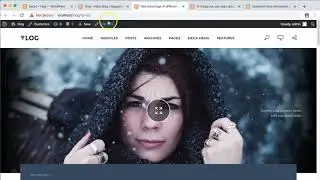 Creating a series - Vlog WordPress theme