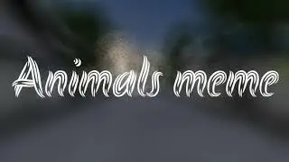Animals meme || Gacha Life meme ✨