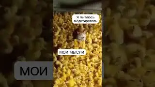А КАК У ВАС? 😂🧘🏼‍♀️