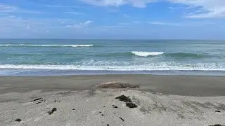 Suba Sand Dunes Beach, Paoay, Ilocos Norte, Philippines 🇵🇭 🇵🇭