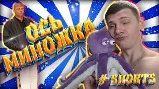 ИЗВИНЯЮСЬ ПЕРЕД ВСЕМИ ОСЯМИ 