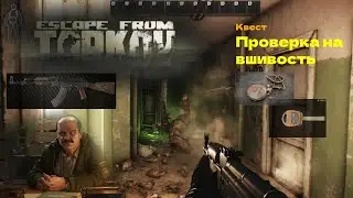 Прохождение квеста - Проверка на вшивость с ВПО 209 и как меня прессовали дикие на Таможне EFT