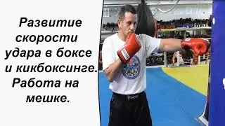 Развитие скорости удара в боксе и кикбоксинге. Работа на мешке.