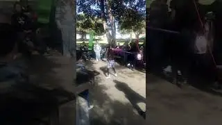 party are fun