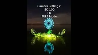 How to Light Paint a Flower