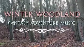 Winter Woodland ‖ Fantasy Adventure Music ‖ RPG/D&D