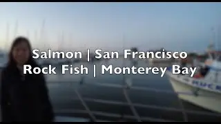 Salmon and Rock Fishing | Fishing in San Francisco | Monterey Bay | CEE