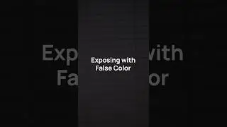 How to expose with false color