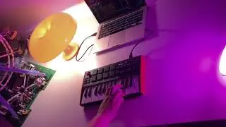 I Like To Move It Move It - Madagascar Cover