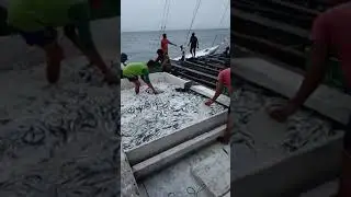 Labuan cermin - Penangkapan ikan dengan jaring kapal
