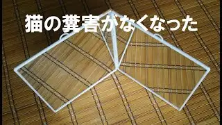 これを置くだけで猫の糞害がなくなった！（たまにカン違いする猫あり）