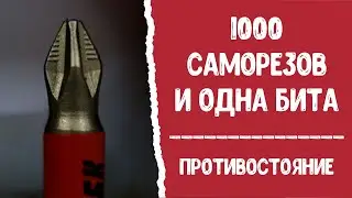 1000 саморезов и одна бита. БОЕКОМПЛЕКТ