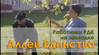 Работники Дворца культуры приняли участие в закладке аллеи "Единства"