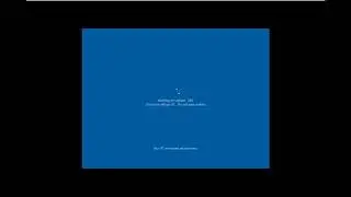 Nâng cấp lên windows 10 2004