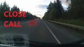 Deer on I5 in WA conducting brake testing - One reason to put down your cell phone
