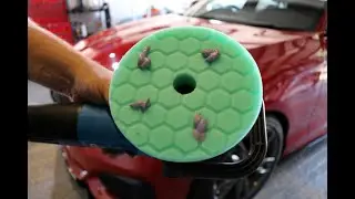 How To Polish A Car For Beginners - First Time Guide to Paint Correction