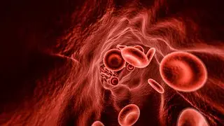 Blood Types Explained