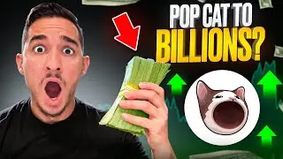 Popcat - First Cat Coin to Reach a $1 Billion Market Cap?