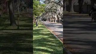 What street could this be? #staugustine #florida #travel #floridalife